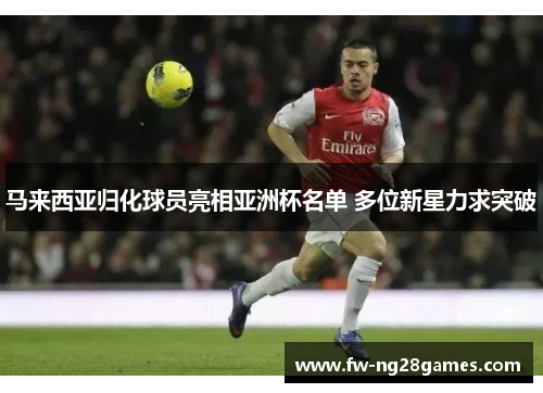马来西亚归化球员亮相亚洲杯名单 多位新星力求突破 马来西亚归化球员亮相亚洲杯名单 多位新星力求突破